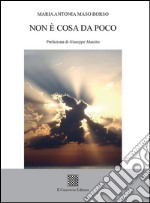 Non è cosa da poco libro