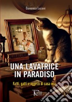 Una lavatrice in paradiso. Fatti, gatti e oggetti di casa mia libro