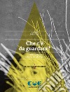 Che c'è da guardare? La critica di fronte al teatro sociale d'arte libro di Porcheddu Andrea