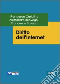 Diritto dell'internet libro