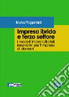 Impresa ibrida e terzo settore. I modelli imprenditoriali innovativi per l'impresa di domani libro