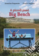 A piccoli passi Big Bench. 50 panchine giganti in Piemonte. Itinerari per tutta la famiglia libro