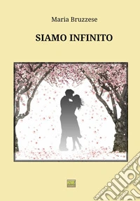 Siamo Infinito libro