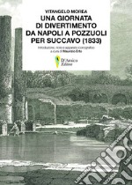 Una giornata di divertimento da Napoli a Pozzuoli per Succavo (1833) libro