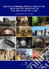 Identità, funzione, attività e prospettive dei musei civici, diocesani e di interesse locale del Lazio libro