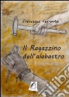 Il ragazzino dell'alabastro libro