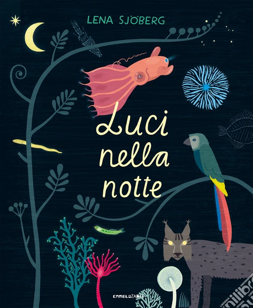 Luci nella notte