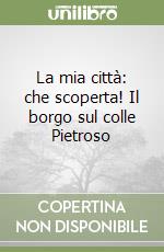 La mia città: che scoperta! Il borgo sul colle Pietroso libro