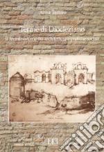 Terme di Diocleziano. Il recinto esterno tra architettura e pratiche sociali libro