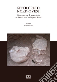 Sepolcreto Nord-Ovest. Rinvenimento di un contesto tardo antico a Cecchignola, Roma libro