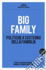 Big family. Politiche a sostegno della famiglia libro