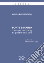 Ponte Silogno. La giostra della vita