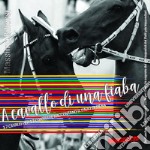 A cavallo di una fiaba. 17 cavalli per 17 contrade raccontano il palio di Siena libro