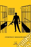 Criminale immaginario libro