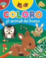 Coloro gli animali del bosco libro