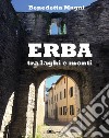 Erba tra laghi e monti. Ediz. bilingue libro