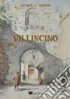 Villincino libro