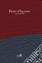 Pietre d'incanto libro