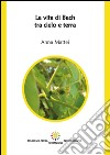 La vita di Bach tra cielo e terra. Ediz. integrale libro di Mattei Anna