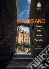 Collesano. Storia arte natura tradizioni libro