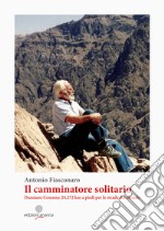 Il camminatore solitario. Damiano Cosenza: 24.272 km a piedi per le strade del mondo libro