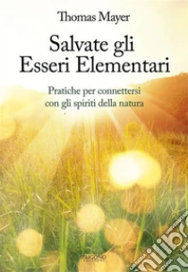 Salvate gli essere elementari. Pratiche per connettersi con gli spiriti della natura
