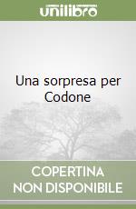 Una sorpresa per Codone libro