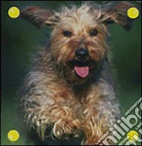 Il cane libro
