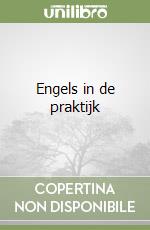 Engels in de praktijk libro