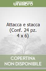 Attacca e stacca (Conf. 24 pz. 4 x 6) libro