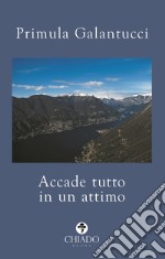 Accade tutto in un attimo libro