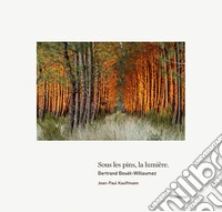 Sous les pins la lumière libro