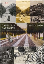 Canelli in cartolina 1900-1950. Storia per immagini di una città operosa. Ediz. illustrata