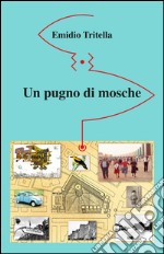 Un pugno di mosche