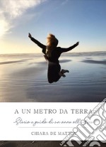 A un metro da terra. Storia e guida di un anno all'estero libro