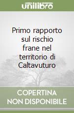 Primo rapporto sul rischio frane nel territorio di Caltavuturo libro