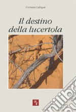 Il destino della lucertola