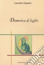 Domenica di luglio libro