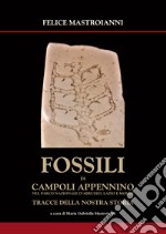 Fossili di Campoli Appennino. Nel parco Nazionale Abruzzo, Lazio e Molise tracce della nostra storia