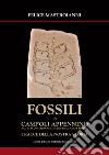 Fossili di Campoli Appennino. Nel parco Nazionale Abruzzo, Lazio e Molise tracce della nostra storia libro