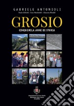 Grosio. Cinquemila anni di storia