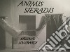 Animis sieradis. Ediz. bilingue libro