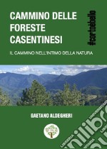 Cammino delle foreste Casentinesi. Il cammino nell'intimo della natura