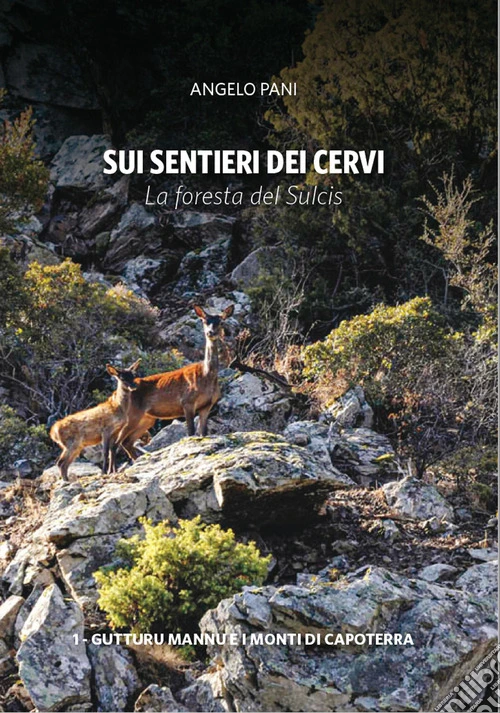Sui sentieri dei cervi. La foresta del Sulcis