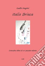 Italia briaca. Cronache ebbre di un passato estinto libro