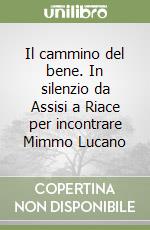 Il cammino del bene. In silenzio da Assisi a Riace per incontrare Mimmo Lucano