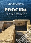 Procida guida storico letteraria ai segreti dell'isola. Miti, leggende, storie, misteri, natura e curiosità libro