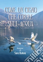 Come un cigno che corre sull'acqua