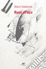 Rami di luce