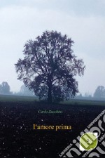 L'amore prima libro